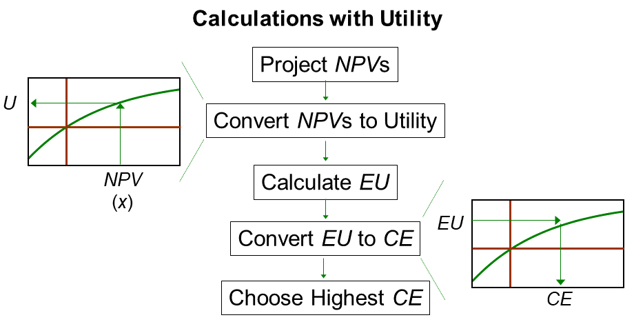 Flow diagram of evaluating a risk's EU and CE.